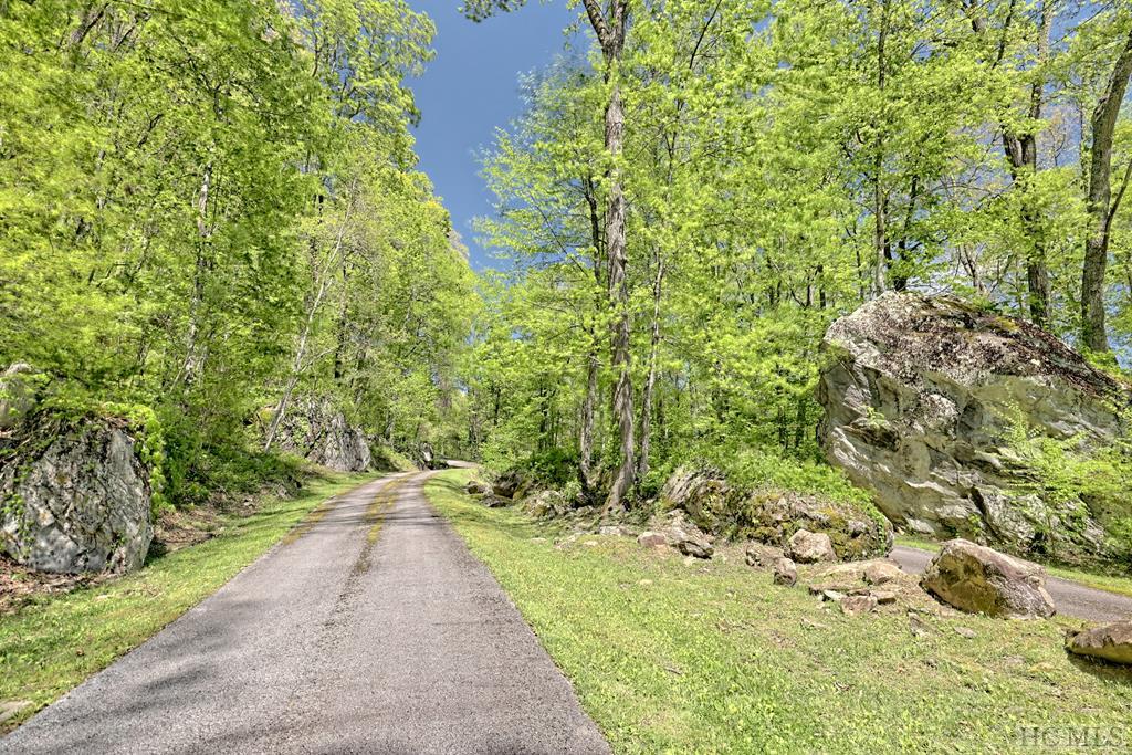 Lot 47 Yellow Palmer Lane