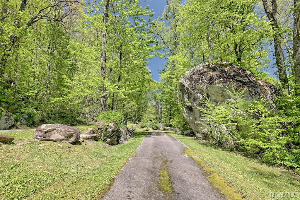 Lot 47 Yellow Palmer Lane