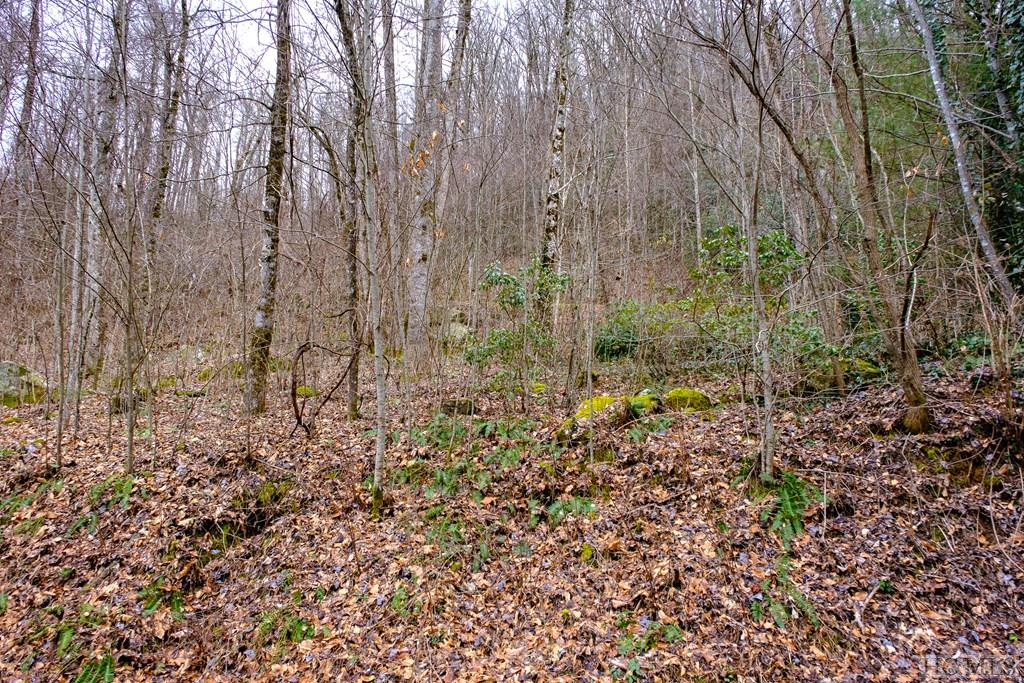 Lot 47 Yellow Palmer Lane