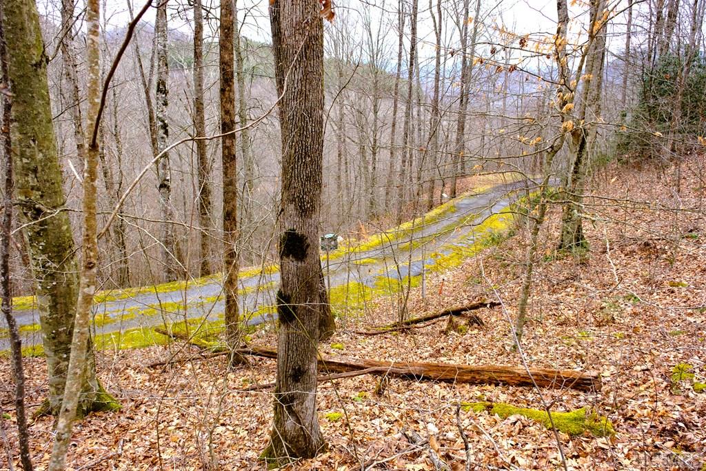 Lot 47 Yellow Palmer Lane