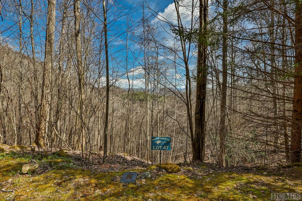 Lot 47 Yellow Palmer Lane
