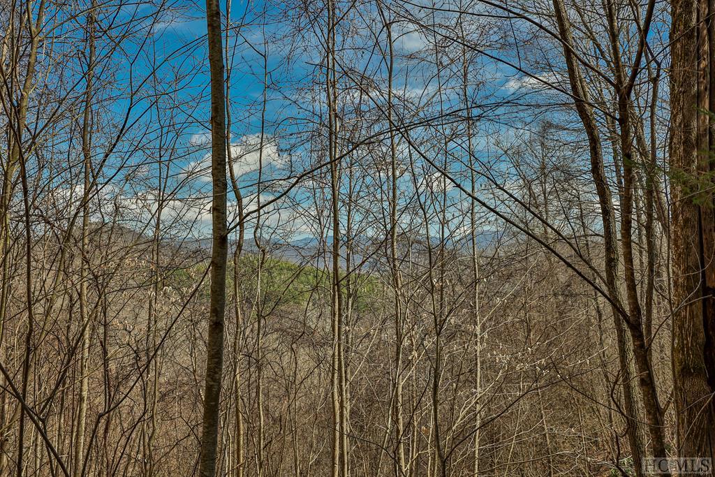 Lot 47 Yellow Palmer Lane