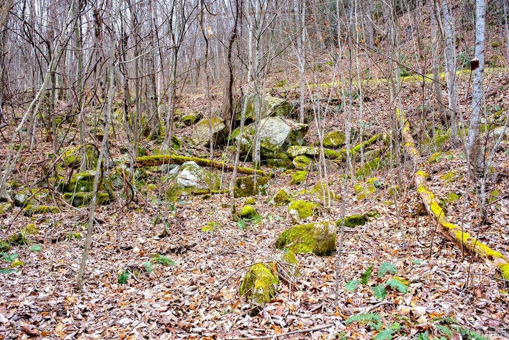 Lot 47 Yellow Palmer Lane