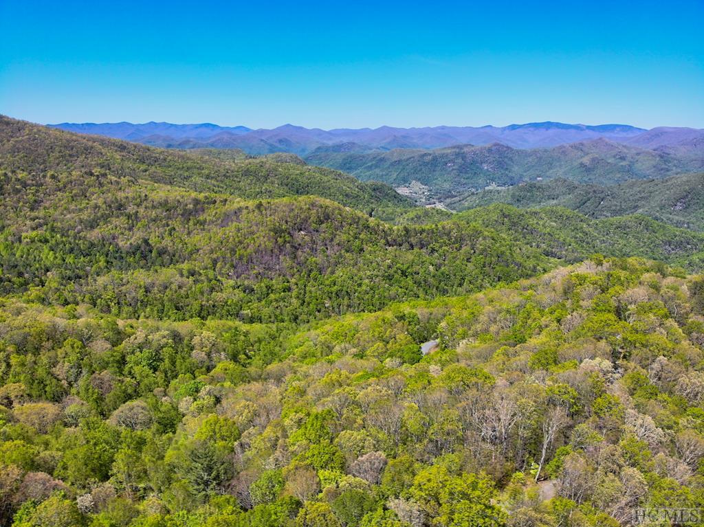 Lot 47 Yellow Palmer Lane