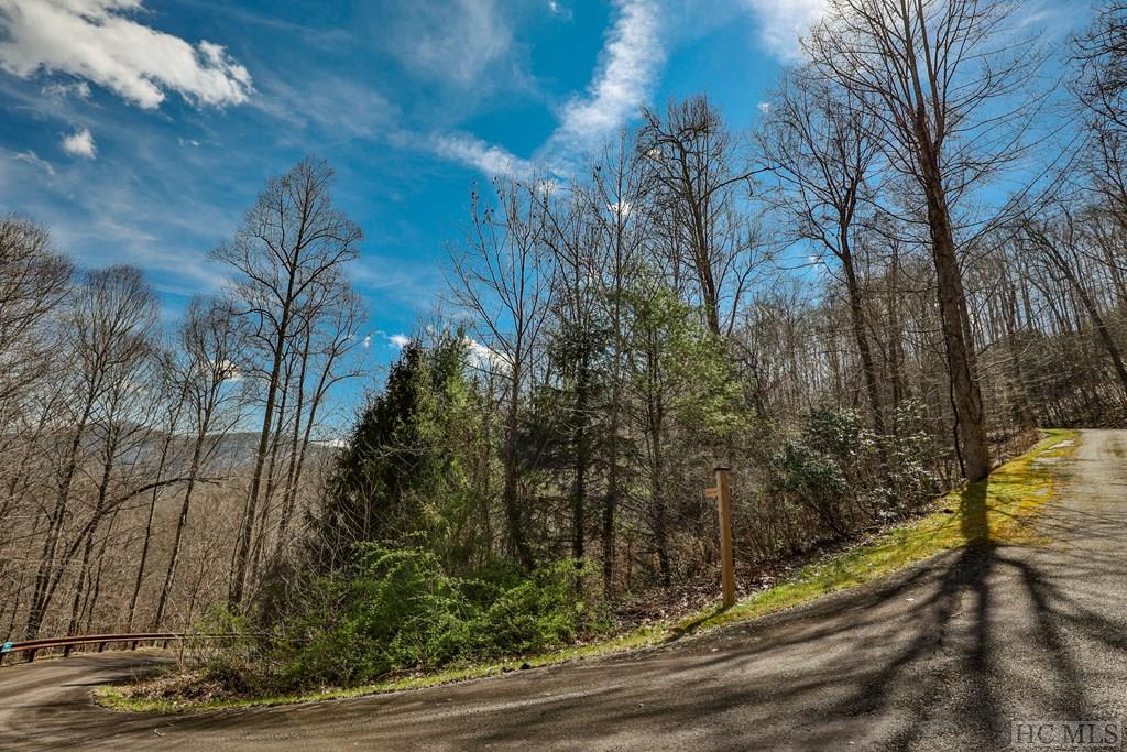 Lot 47 Yellow Palmer Lane