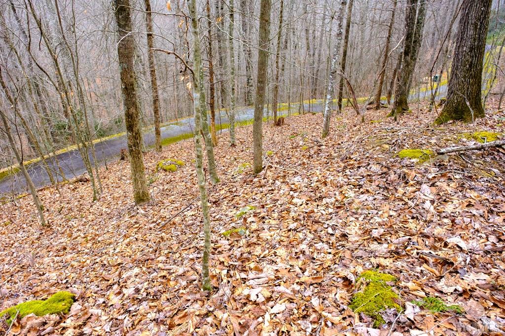 Lot 47 Yellow Palmer Lane