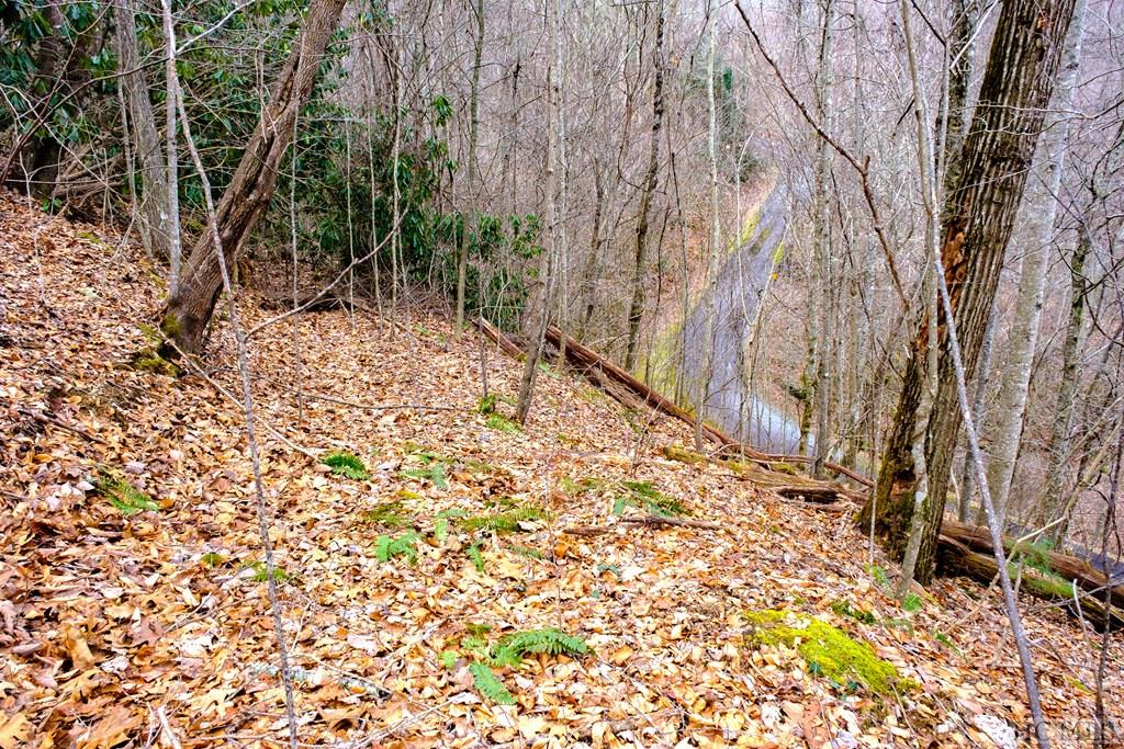 Lot 47 Yellow Palmer Lane