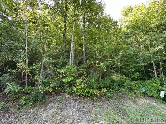 Lot 29A Lowland Glade Dr