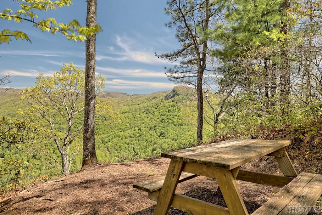 Lot 29A Lowland Glade Dr