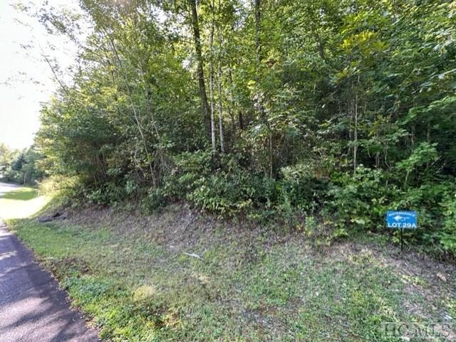 Lot 29A Lowland Glade Dr