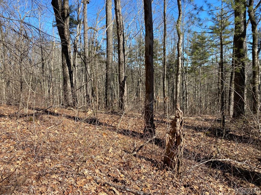 Lot 14 GlenCove Drive
