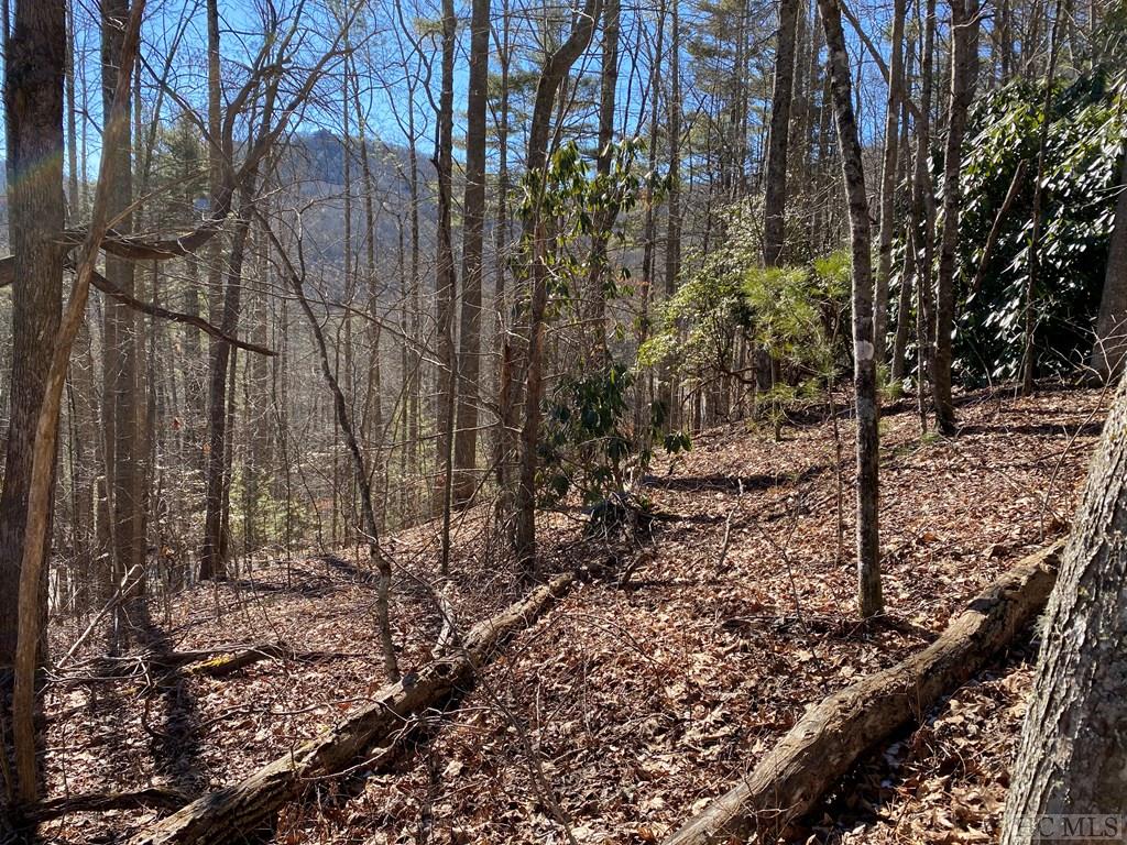 Lot 14 GlenCove Drive