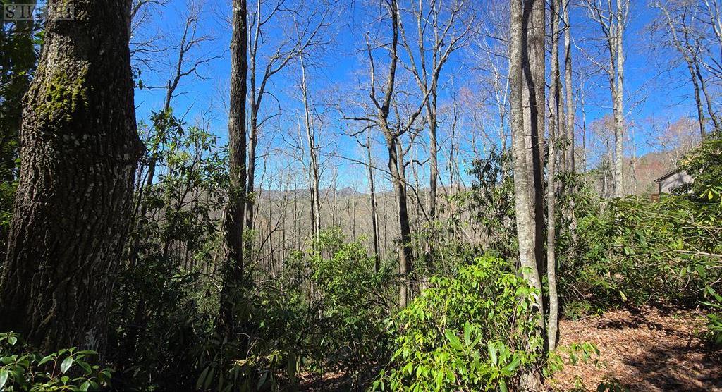 Lot 96 Black Oak Drive