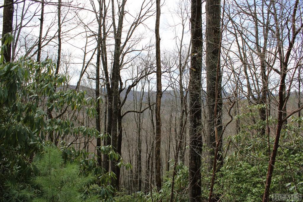 Lot 96 Black Oak Drive