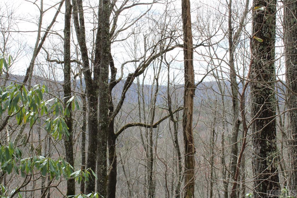 Lot 96 Black Oak Drive