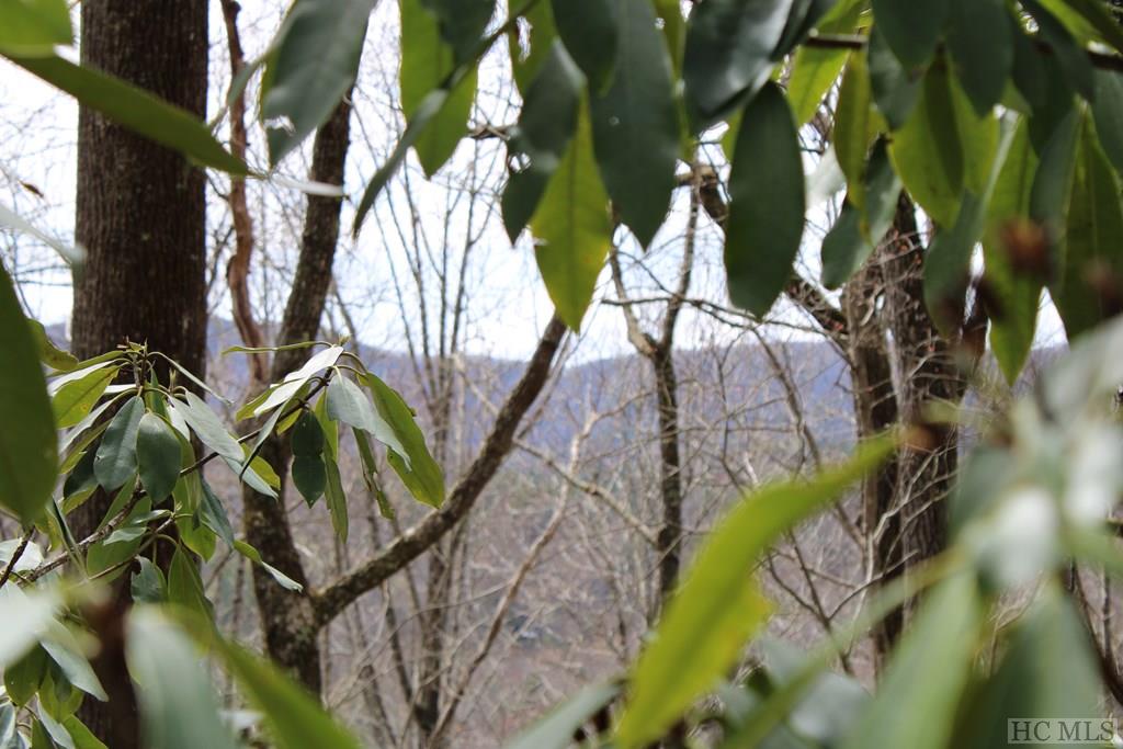 Lot 96 Black Oak Drive