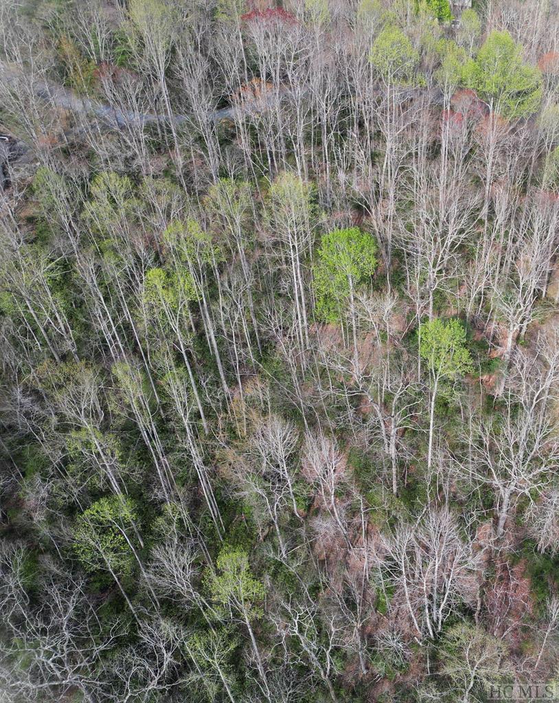 Lot 96 Black Oak Drive