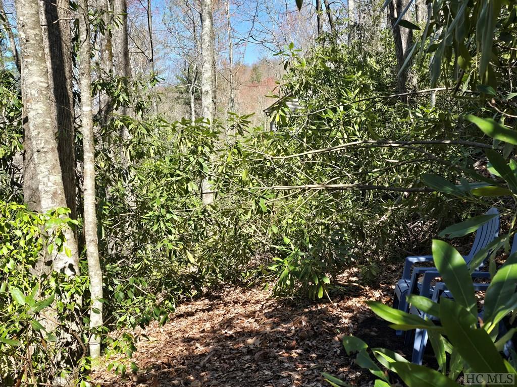 Lot 96 Black Oak Drive