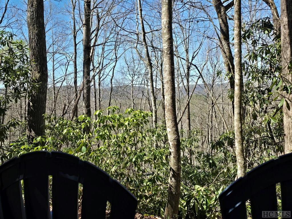 Lot 96 Black Oak Drive