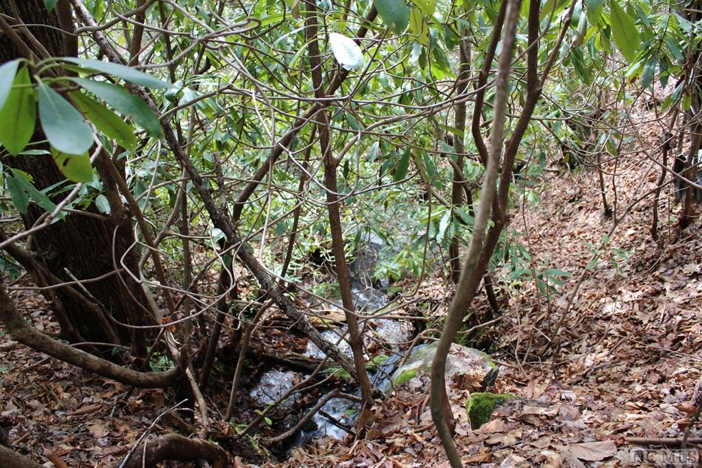 Lot 96 Black Oak Drive