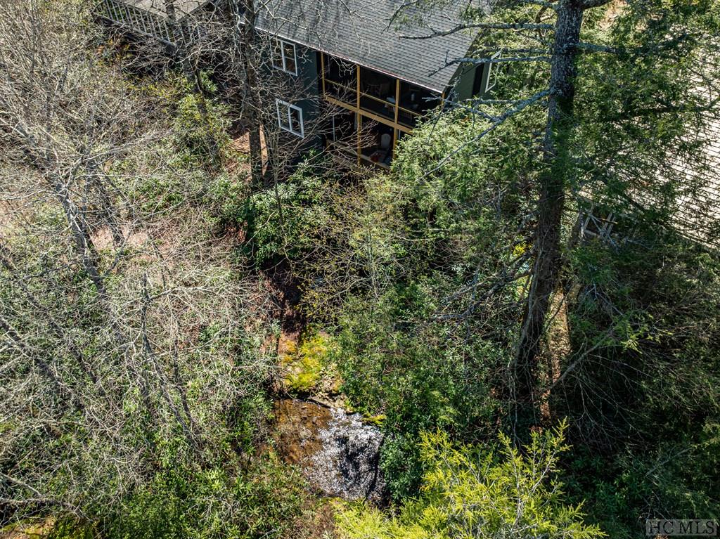 169 Shelby Drive