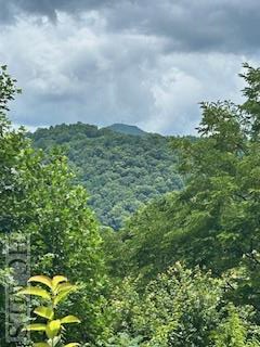 TBD Highland Gap Road