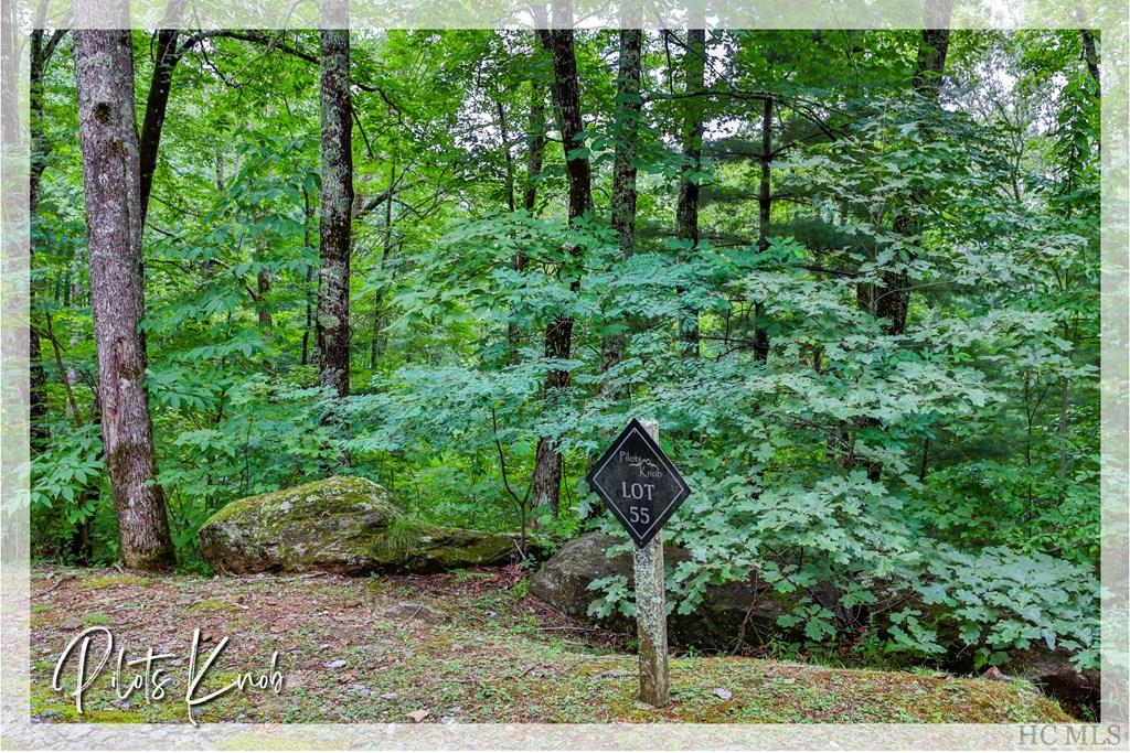 55&55B Beechfern Drive