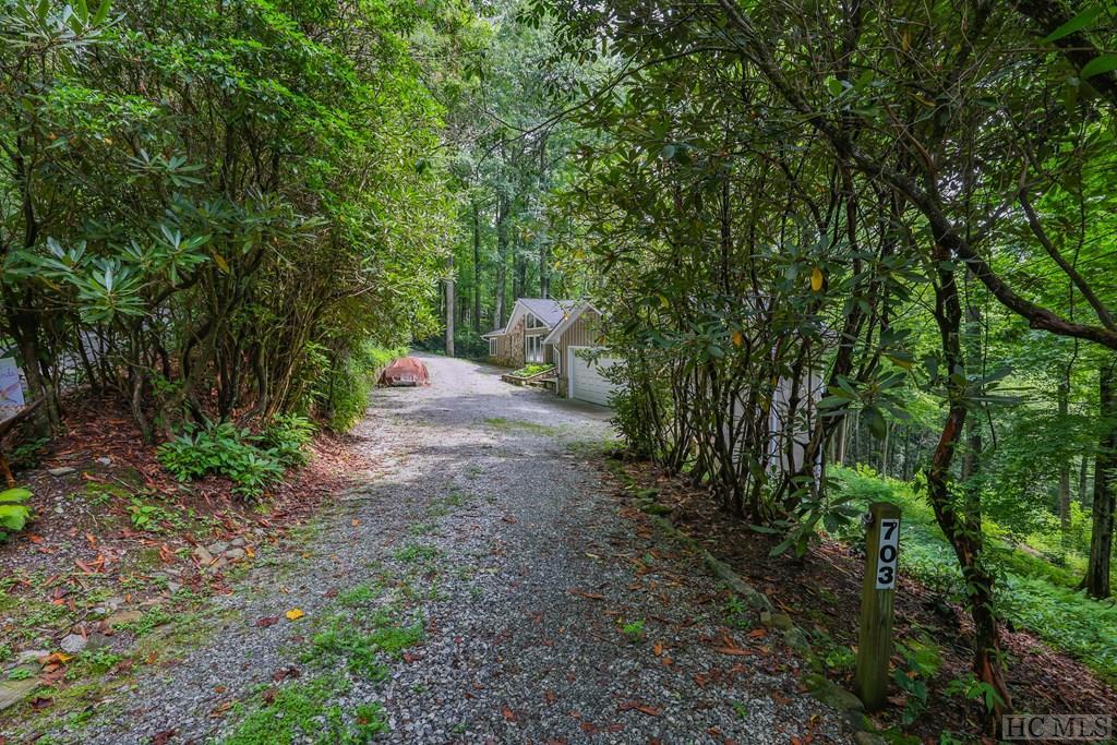 703 Dog Mountain Road