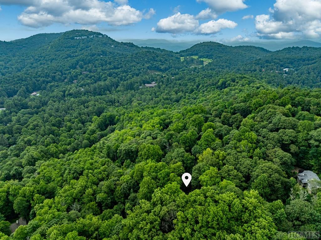 703 Dog Mountain Road