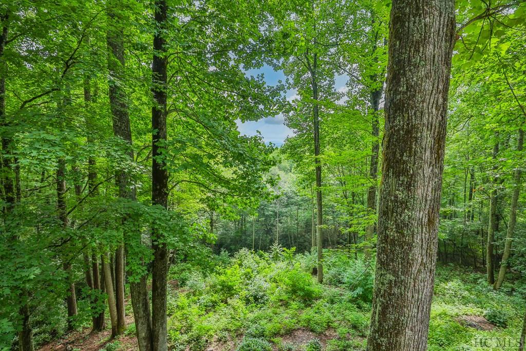 703 Dog Mountain Road
