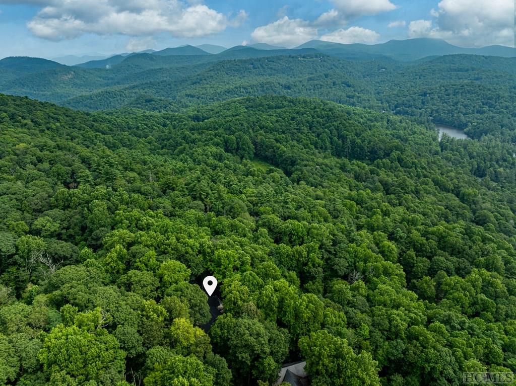 703 Dog Mountain Road