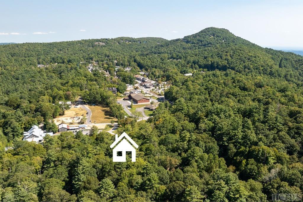 320 Holt Knob Road