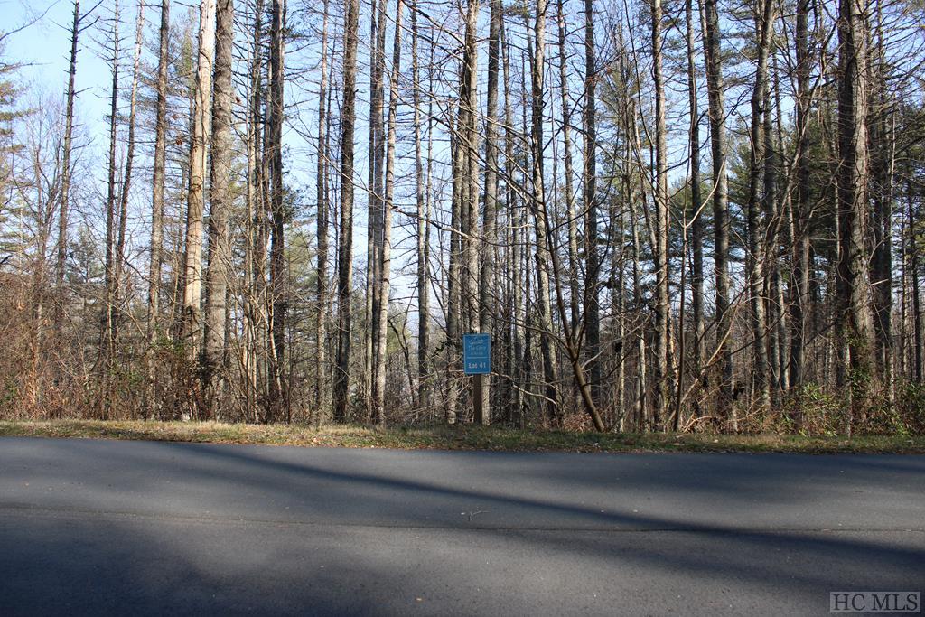 Lot 41 Rustling Woods Trail