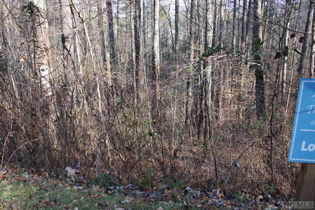 Lot 41 Rustling Woods Trail