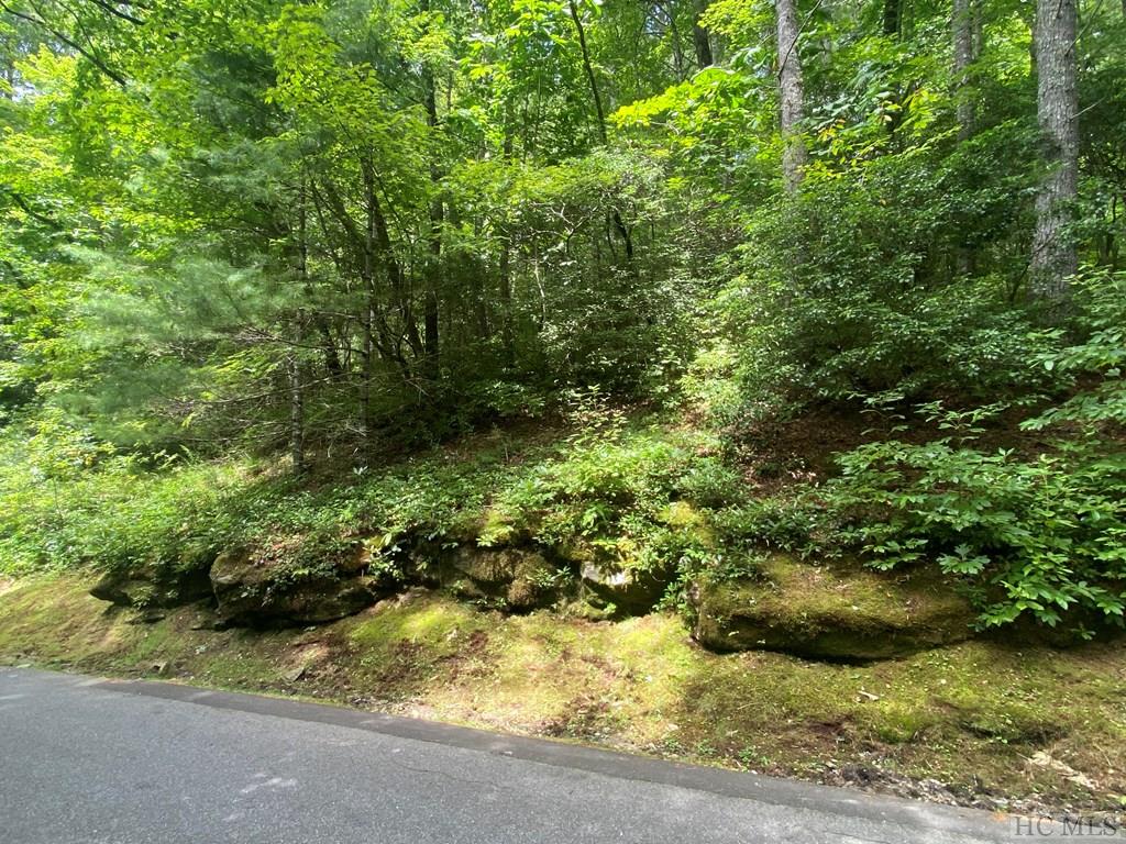 Lot 8 Wandering Ridge