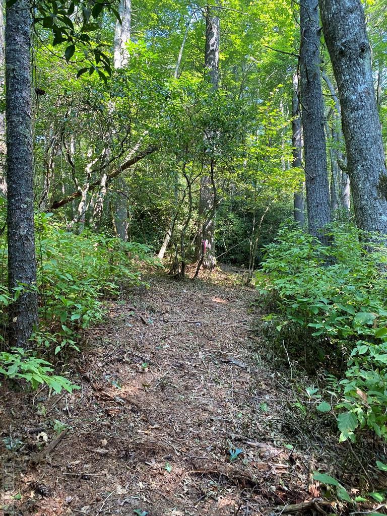 Lot 8 Wandering Ridge