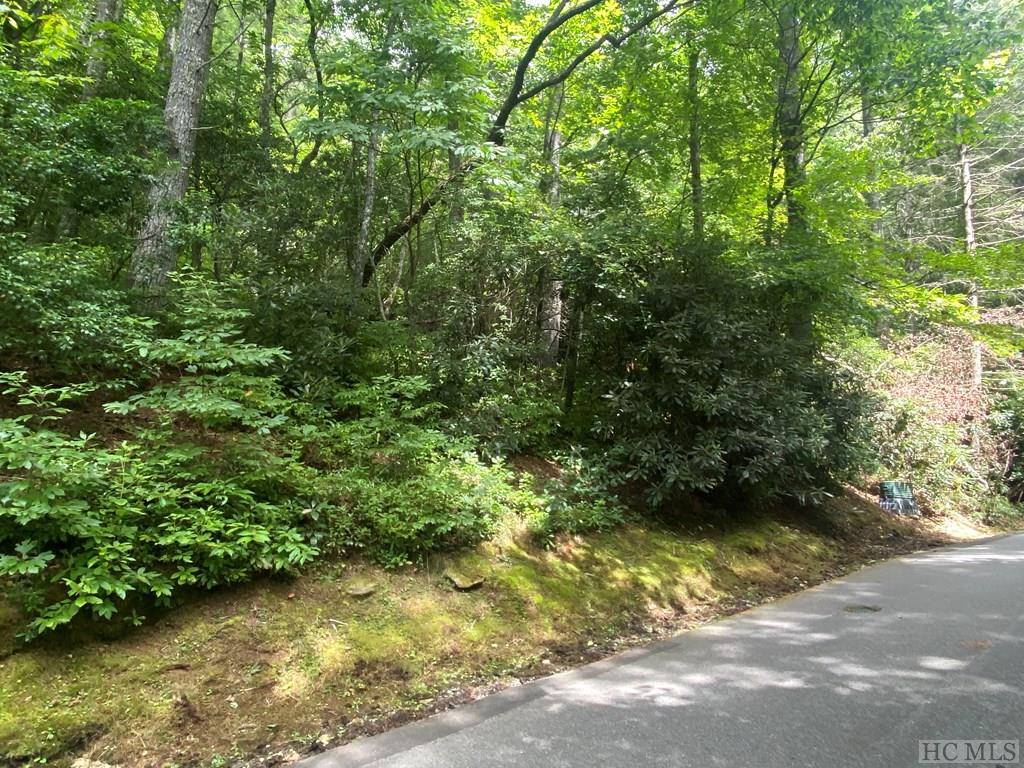 Lot 8 Wandering Ridge