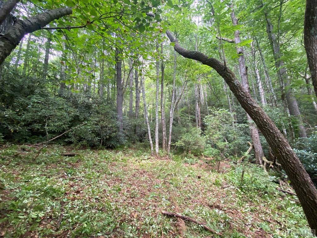 Lot 8 Wandering Ridge