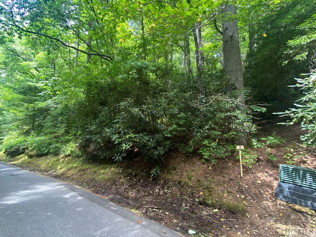 Lot 8 Wandering Ridge