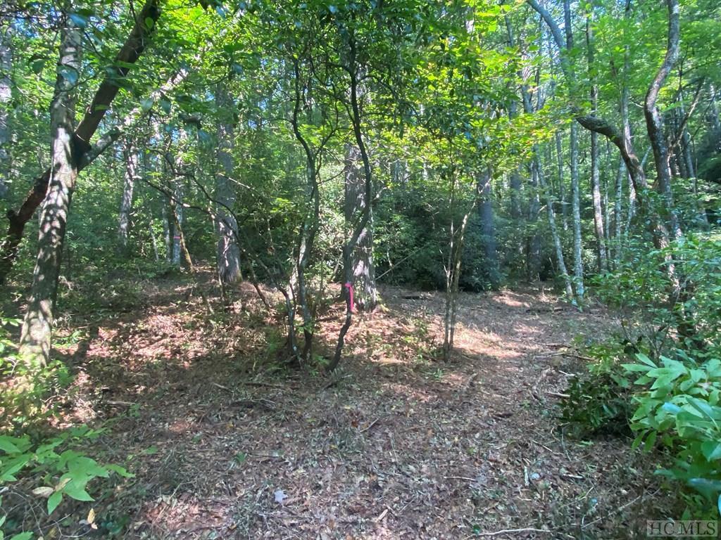 Lot 8 Wandering Ridge