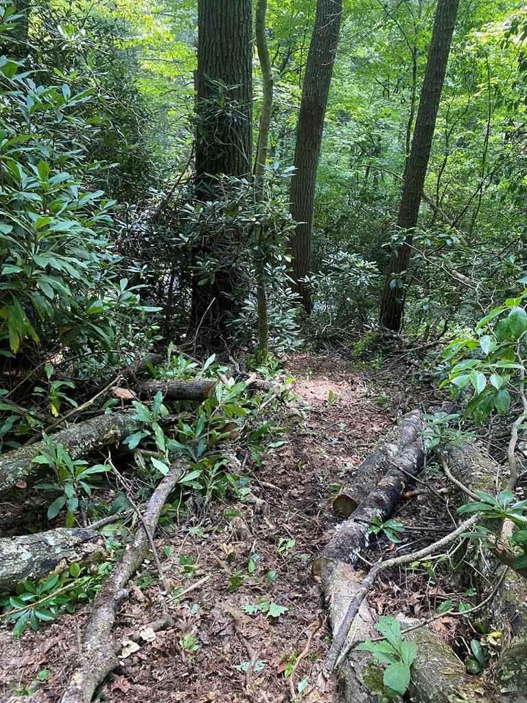 Lot 8 Wandering Ridge