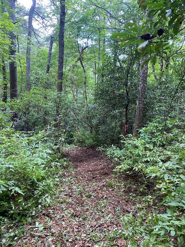 Lot 8 Wandering Ridge