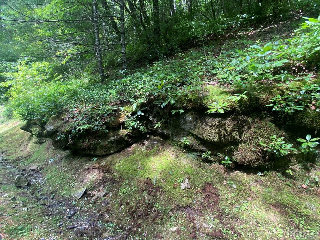 Lot 8 Wandering Ridge