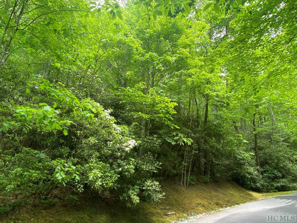 Lot 8 Wandering Ridge