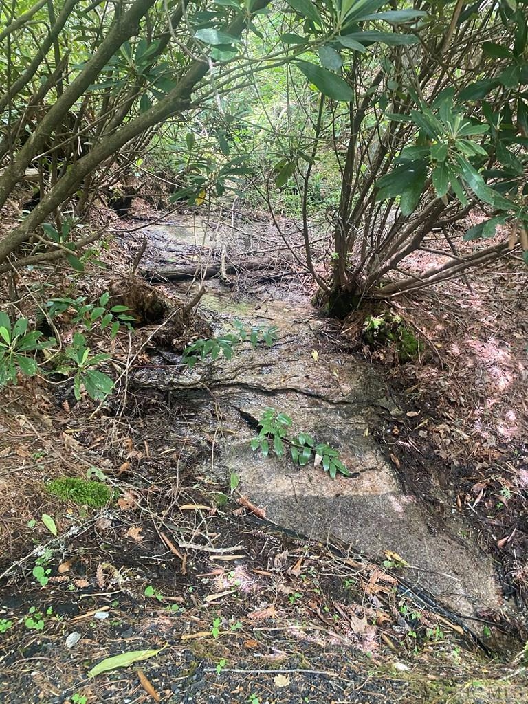 Lot 8 Wandering Ridge