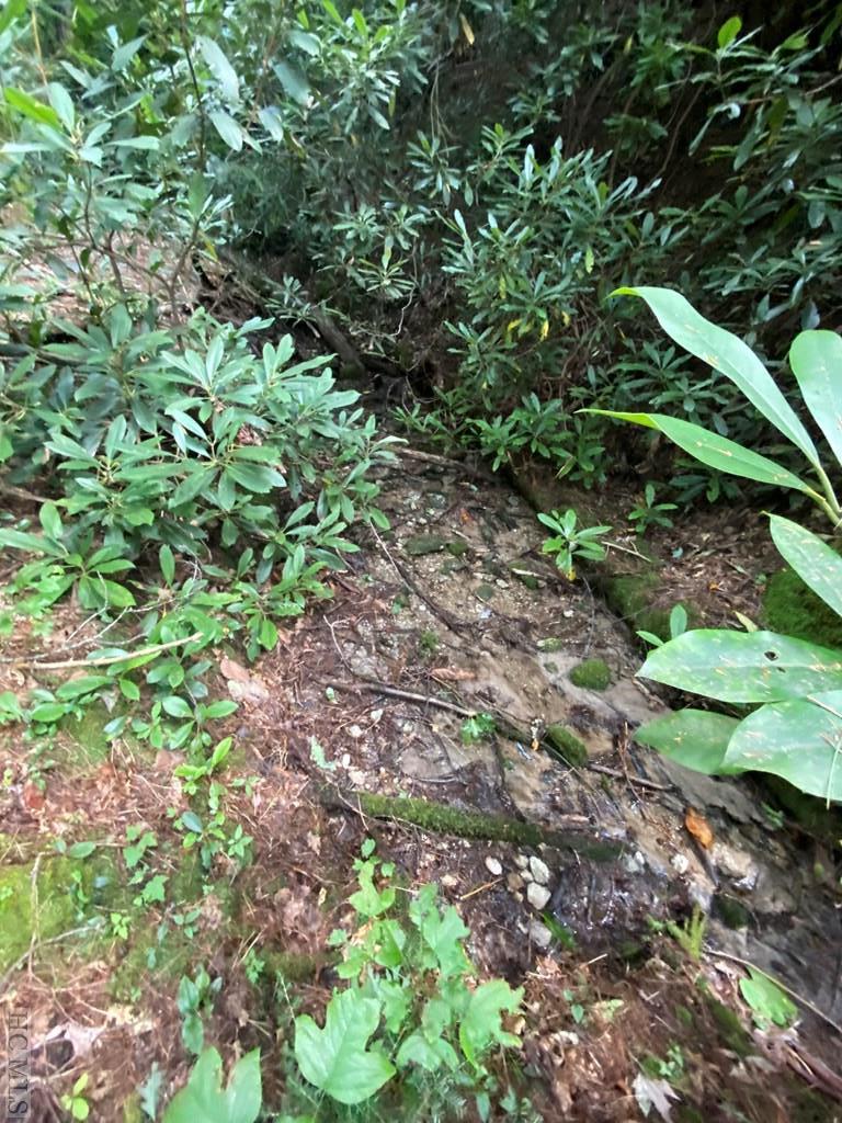 Lot 8 Wandering Ridge