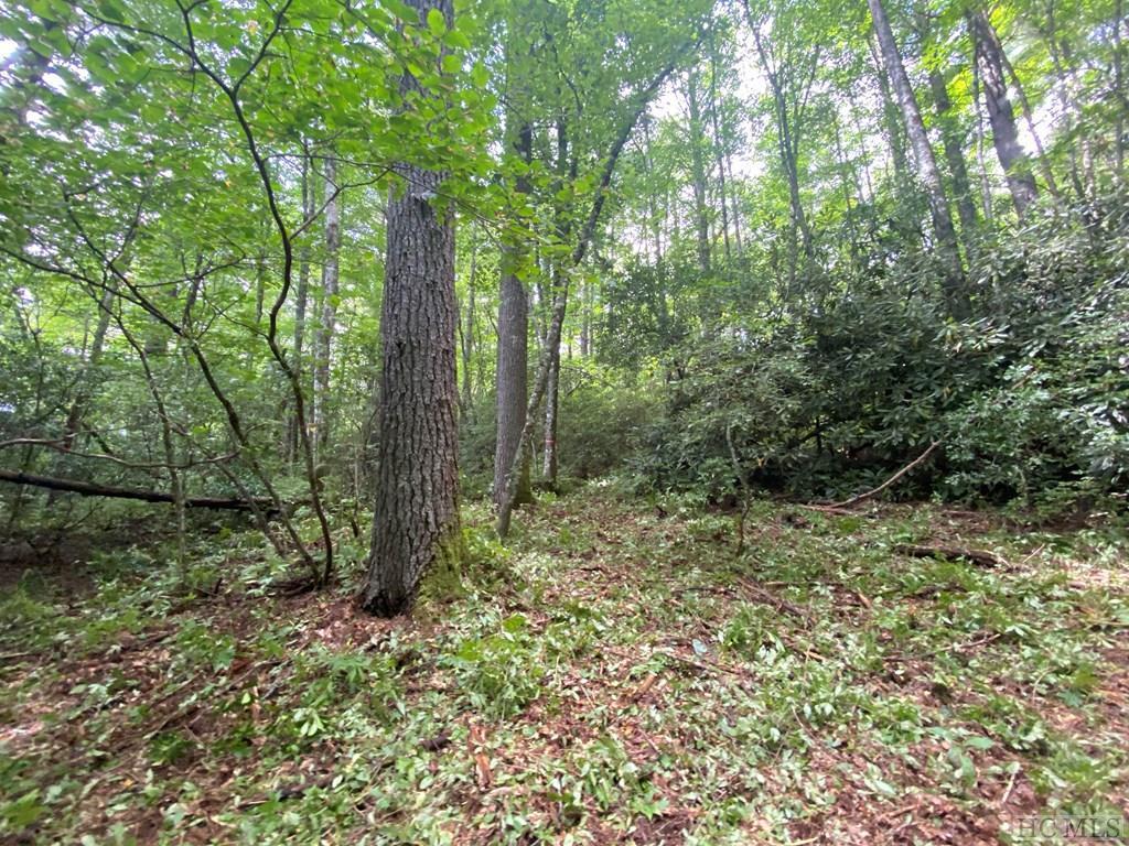 Lot 8 Wandering Ridge