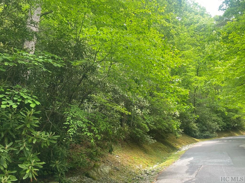Lot 8 Wandering Ridge