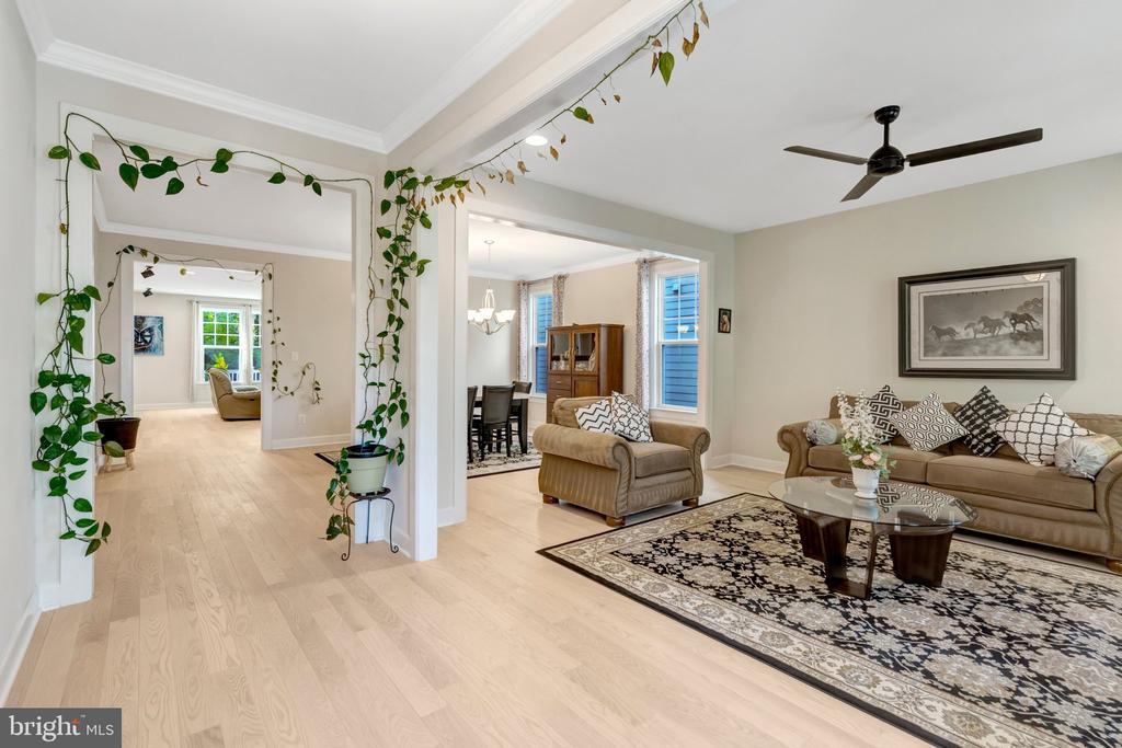 11413 WOODRUSH COURT