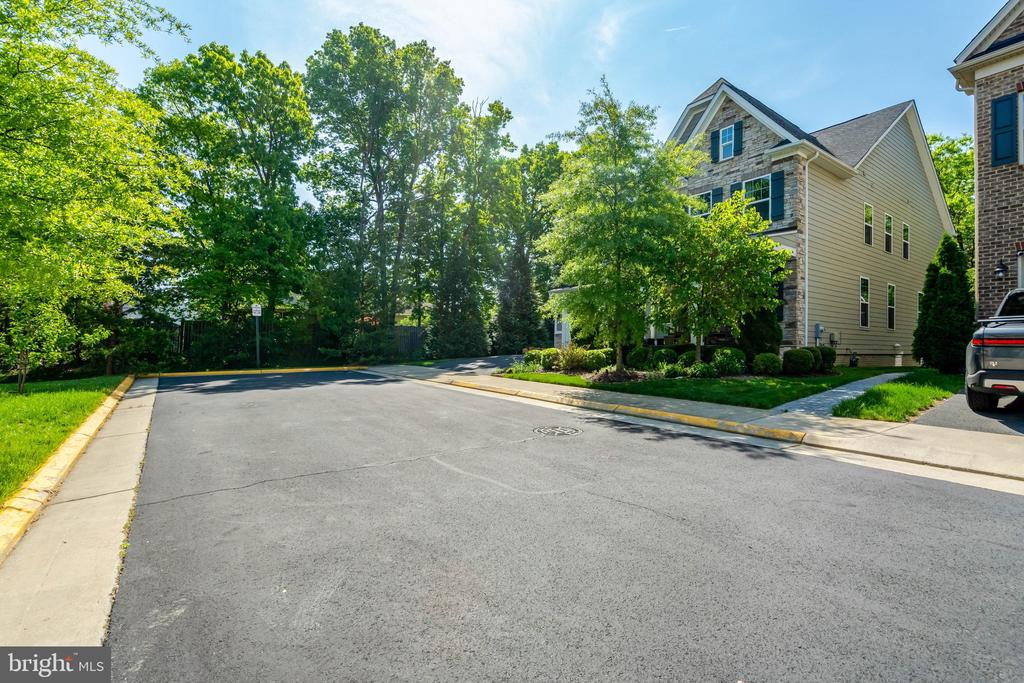 11413 WOODRUSH COURT